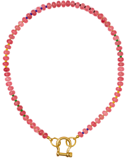 spicy dan necklace flat lay -apple